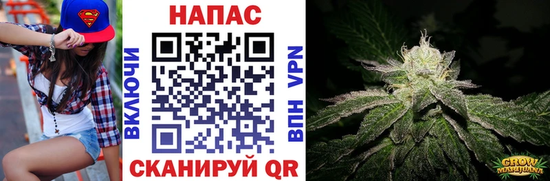 Купить закладку Гашиш  Alpha-PVP  Меф  АМФЕТАМИН  Кокаин  Каннабис  Нижняя Тура