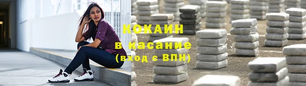 гидра Липки