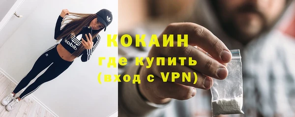 гидра Липки