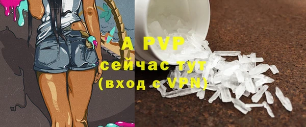 гидра Липки